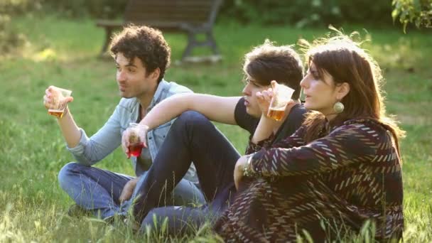 夏時間 芝生の上でビールを飲んで話している友人の若いグループ — ストック動画