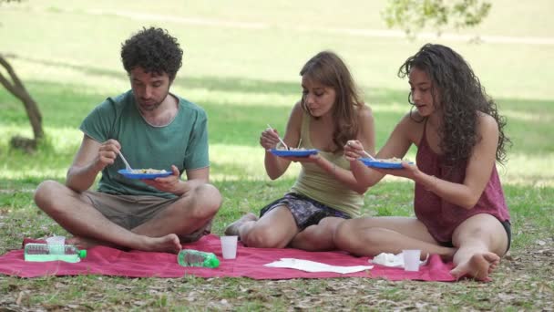 Retrato Jovens Amigos Felizes Conversando Rindo Fazendo Piquenique Parque — Vídeo de Stock