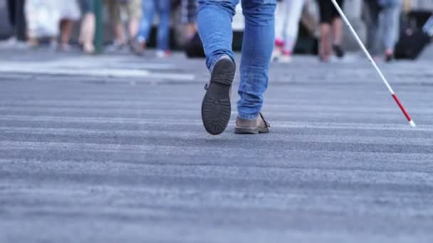 盲人の足がサトウキビで歩いていることに焦点を当てる — ストック動画