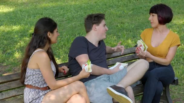 Jovens Amigos Despreocupados Almoçar Banco Parque — Vídeo de Stock