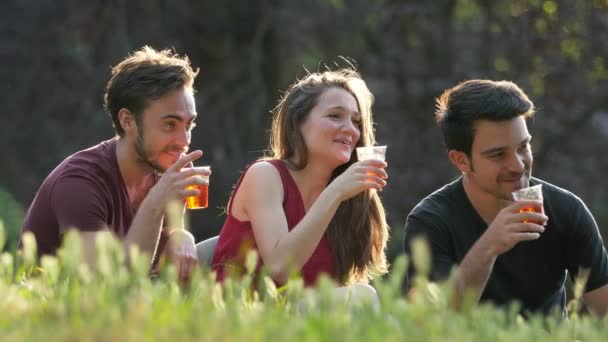 Boldog Mosolyog Fiatal Meg Emelése Pirítós Parkban Portré — Stock videók