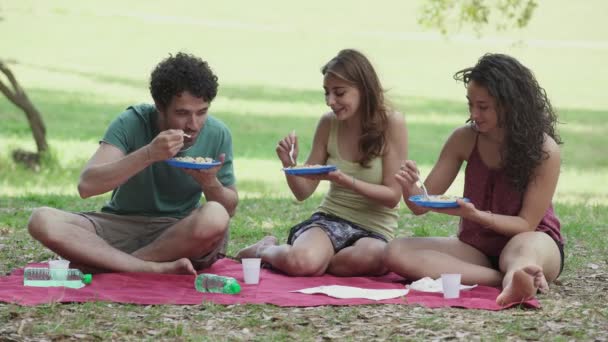 幸せな若い友人話と笑って持ってピクニック公園内 — ストック動画