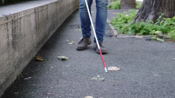 Närbild Blind Man Ben Promenader Med Cane Independence Disbability — Stockvideo