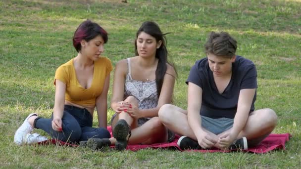 Tres Jóvenes Amigos Que Relajan Hablando Sentarse Prado Despreocupado Verano — Vídeo de stock