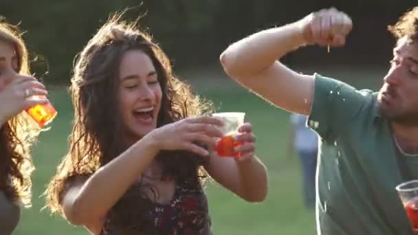 トースト ジョーク 人の友人のトーストと公園で笑う — ストック動画