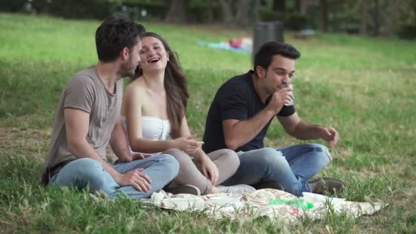 Jovens Despreocupados Feliz Amigos Fazem Piquenique Parque — Vídeo de Stock