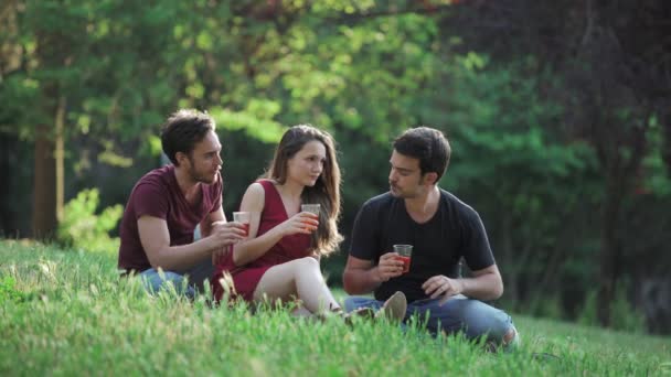Tre Studenti Seduti Sul Prato Tostato Felicità Primavera Gioia — Video Stock