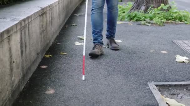 Close Blind Man Leg Walking Street His Cane — Stock Video