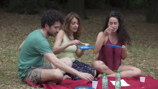 ピクニック トーク 幸せを持つ公園で幸せな友達 — ストック動画
