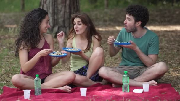グループの幸せな若い友人を楽しむピクニック — ストック動画