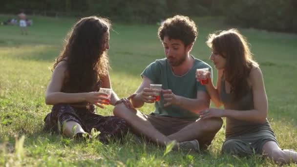 笑顔の若い友人のグループは公園の芝の上に座って乾杯します — ストック動画
