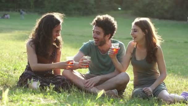 Retrato Estudiantes Felices Brindando Verano Parque — Vídeos de Stock
