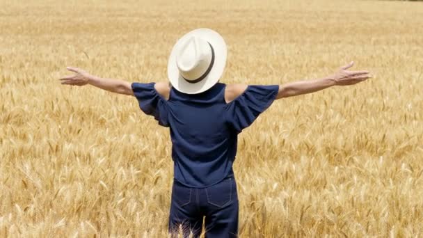 Vrijheid Natuur Zomer Vrouw Tarwe Veld Haar Armen Naar Hemel — Stockvideo