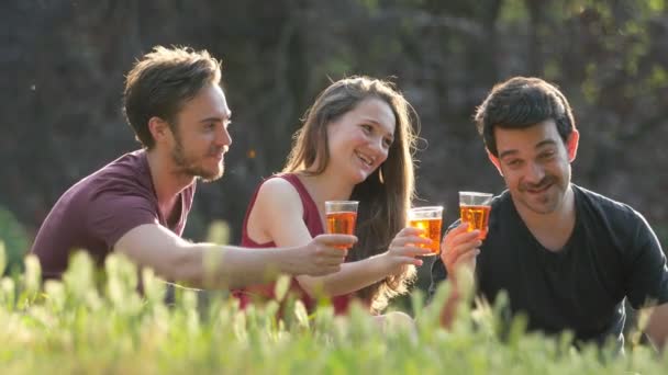 Mutlu Genç Arkadaşlar Yükselterek Tost Parkı Nda Gülümseyen Portresi — Stok video