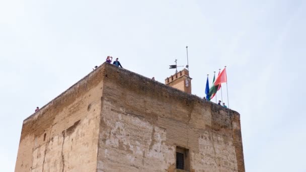 Bandiere Che Sventolano Sulla Cima Del Palazzo Dell Alhambra Granada — Video Stock