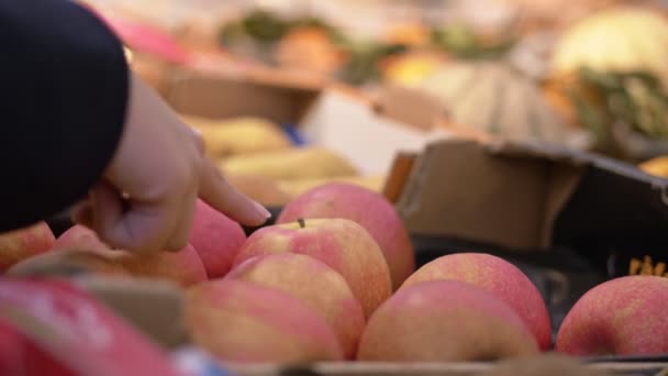 市場で買い物をしている りんごを選択する女性の手 — ストック動画