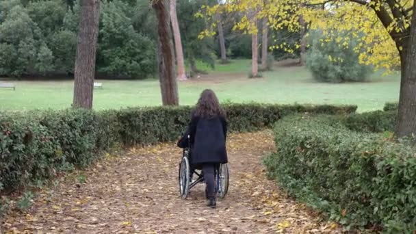 Handicap Liefde Vreugde Man Een Rolstoel Wandelingen Het Park Met — Stockvideo