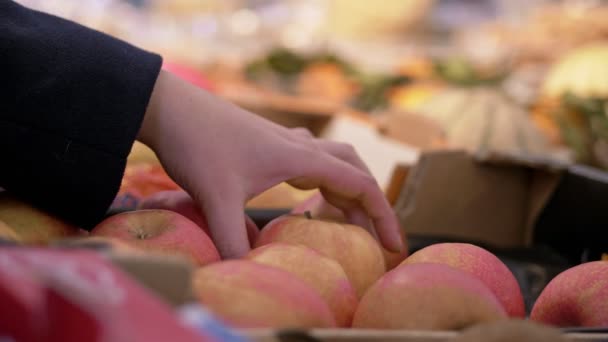 果物と野菜の市場 屋外でリンゴを選択します — ストック動画