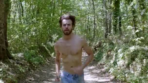Uomo Attraente Corre Attraverso Foresta Natura — Video Stock