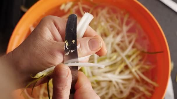 Voorbereiding Van Puntarelle Typische Romeinse Specialiteit Italië — Stockvideo