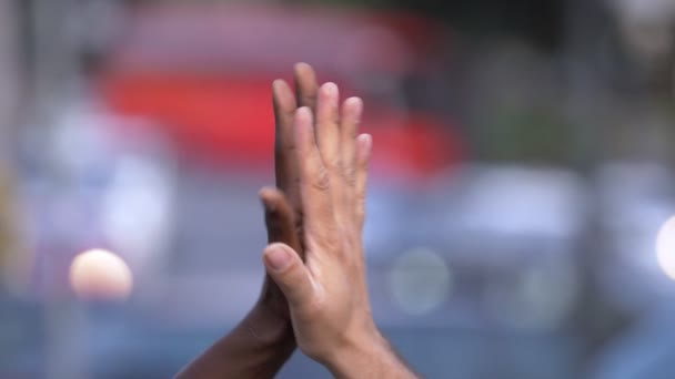 Freundschaft Antirassismus Brüderlichkeit Weiße Hand Und Schwarze Hand Erhalten Die — Stockvideo