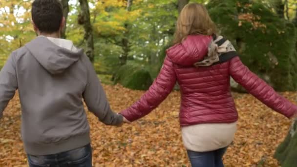 Couple Amuser Dans Forêt — Video