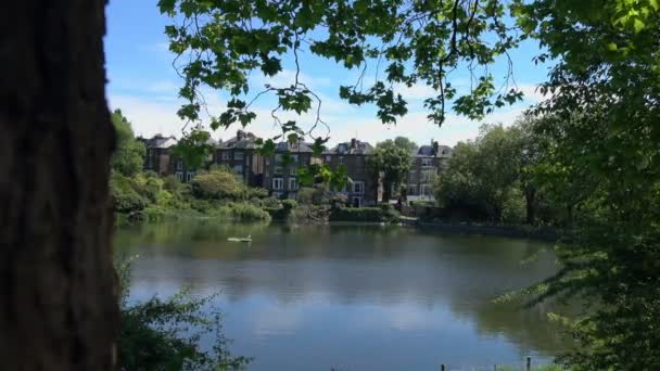 Vue suggestif du petit lac provenant de la nature 