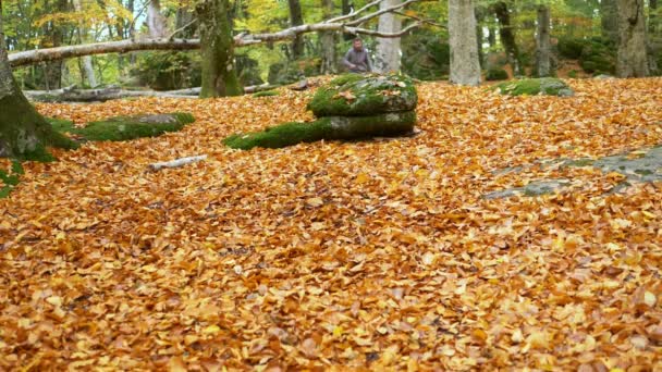 Hombre Temeroso Escapa Bosque Corriendo Saltando Cámara Lenta — Vídeo de stock