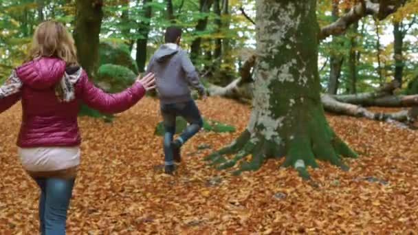 Jovens Amantes Correndo Brincando Floresta Natureza Amor Despreocupado — Vídeo de Stock