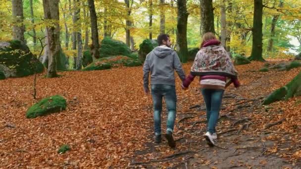 Les Amoureux Marchent Tenant Main Dans Parc Automne — Video