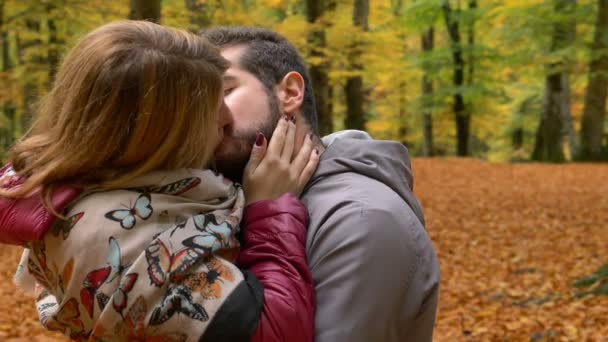 Passion Romance Love Lovers Kissing Forest Slow Motion — Stock Video