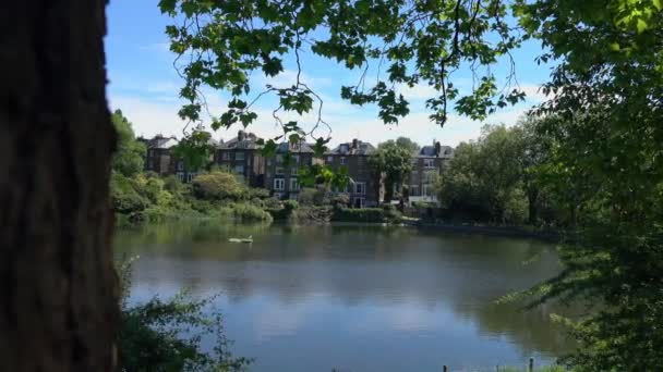 Vue suggestif du petit lac provenant de la nature 