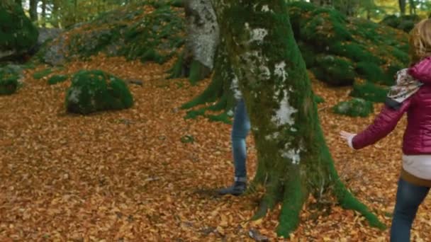 Porträt Junger Verliebter Beim Laufen Und Spielen Wald Natur Liebe — Stockvideo