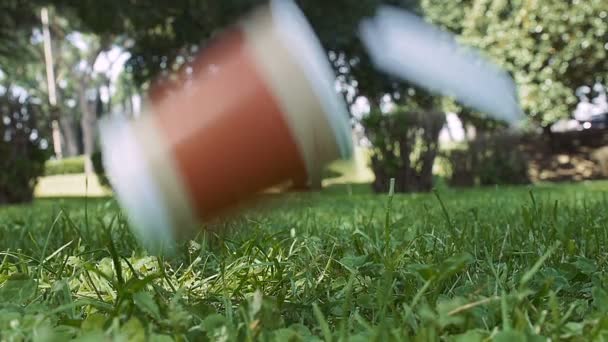 Paper Cup Fall Grass Close View — Stock Video