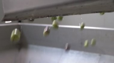 Zeytinyağı - Akdeniz geleneği-kırıcı içinde düşen zeytin yapım