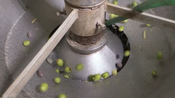 Machine Wassen Van Olijven Olijfolie Boerderij Zuid Italië — Stockvideo