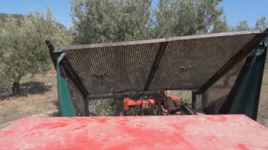 makine - Zeytinyağı üretimi ile zeytin hasat