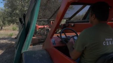 alan - Güney İtalya'da zeytin shaker makine sürüş çiftçi