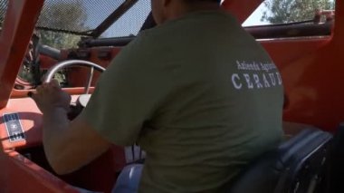 Makine kullanarak zeytin toplama-İtalya güneyinde zeytin hasat için çiftçi