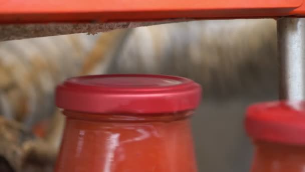 Machines Nettoyer Les Bouteilles Sauce Tomate Production Sauce Tomate — Video