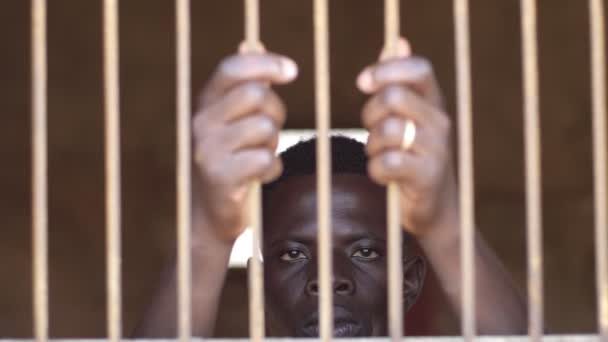 Young African Migrant Prison — Stock Video