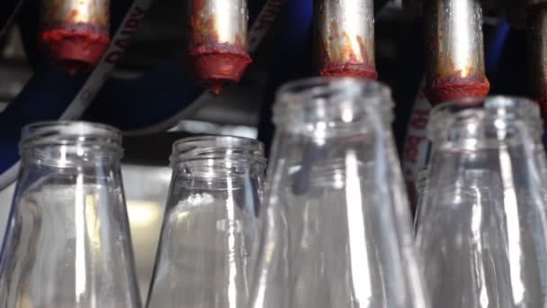 Бутылки Томатных Соусов Конвейере Производство Томатных Соусов — стоковое видео