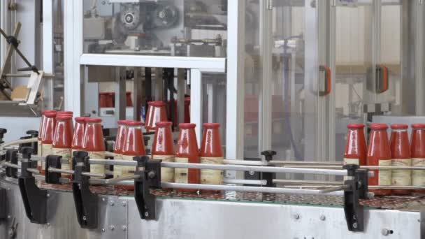 Tomatsås Flaskor Transportör Linje Tomatsås Produktion — Stockvideo