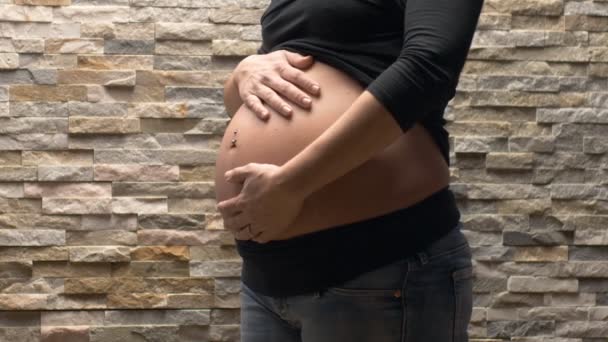 Primer Plano Mujer Embarazada Acaricia Encarga Vientre Primer Plano Cámara — Vídeo de stock