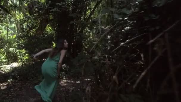 Ritratto Una Donna Spaventosa Elegante Nel Bosco Che Gira Comincia — Video Stock