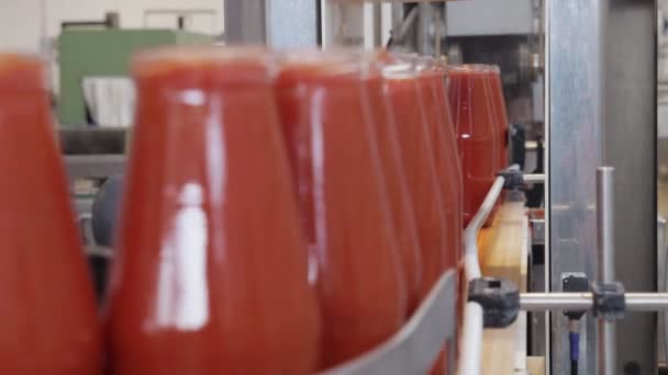 Botellas Salsa Tomate Línea Transporte Salsa Tomate Producción — Vídeo de stock