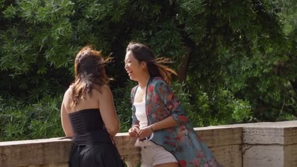 Kahkaha Dedikodu Eğlence Portresi Genç Arkadaşlar Parkta Yavaş Çekimde Konuşuyor — Stok video
