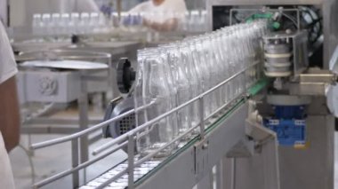 Konveyör hattında domates sosu şişeleri, Domates sosu Üretimi