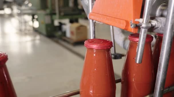 Tomatsås Flaskor Transportör Linje Tomatsås Produktion — Stockvideo