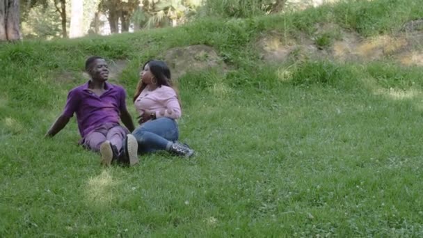 Jóvenes Amantes Africanos Americanos Hablando Parque — Vídeos de Stock